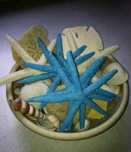 sea bowl