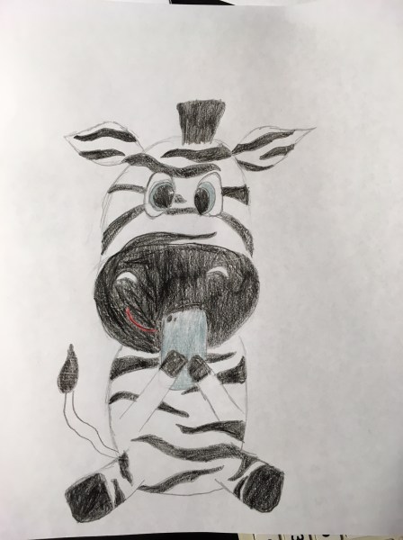 Zebra