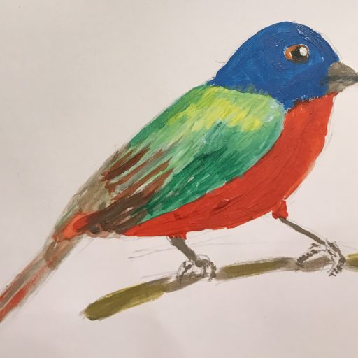A Painted Bunting